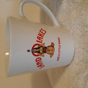 Set Of 2 Land O Lakes Indian mugs